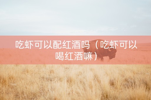吃虾可以配红酒吗（吃虾可以喝红酒嘛）