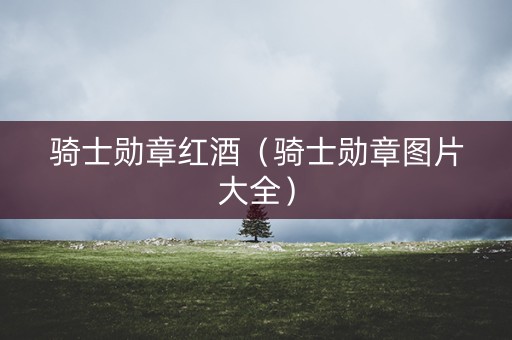 骑士勋章红酒（骑士勋章图片大全）
