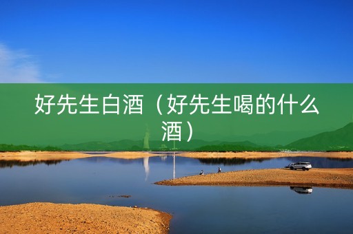 好先生白酒（好先生喝的什么酒）