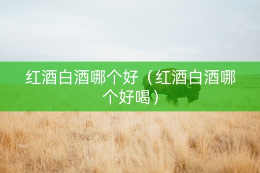 红酒白酒哪个好（红酒白酒哪个好喝）