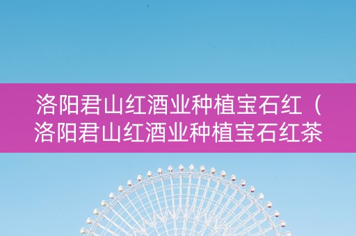 洛阳君山红酒业种植宝石红（洛阳君山红酒业种植宝石红茶价格）