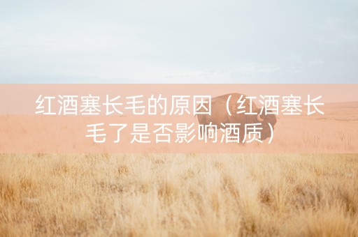红酒塞长毛的原因（红酒塞长毛了是否影响酒质）