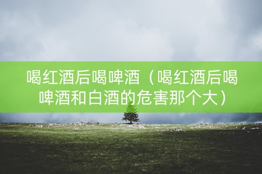 喝红酒后喝啤酒（喝红酒后喝啤酒和白酒的危害那个大）