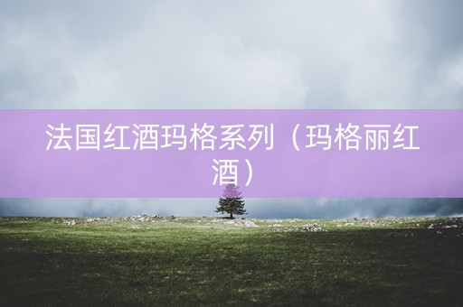法国红酒玛格系列（玛格丽红酒）