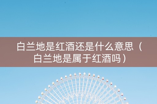白兰地是红酒还是什么意思（白兰地是属于红酒吗）