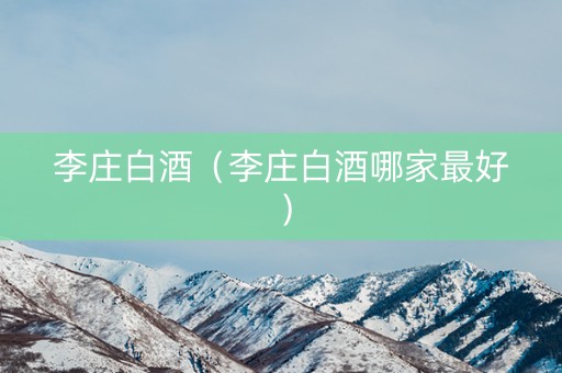 李庄白酒（李庄白酒哪家最好）
