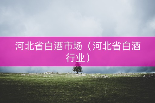 河北省白酒市场（河北省白酒行业）