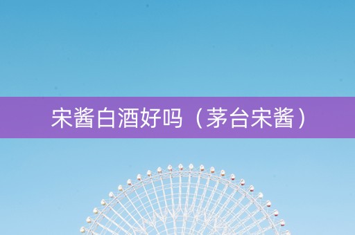 宋酱白酒好吗（茅台宋酱）
