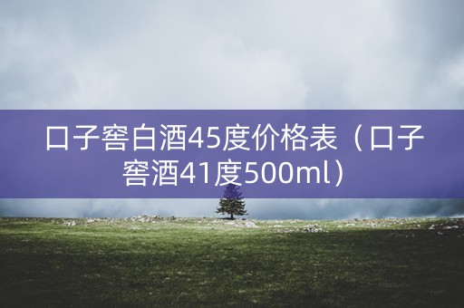 口子窖白酒45度价格表（口子窖酒41度500ml）