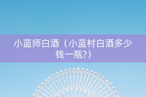 小蓝师白酒（小蓝村白酒多少钱一瓶?）