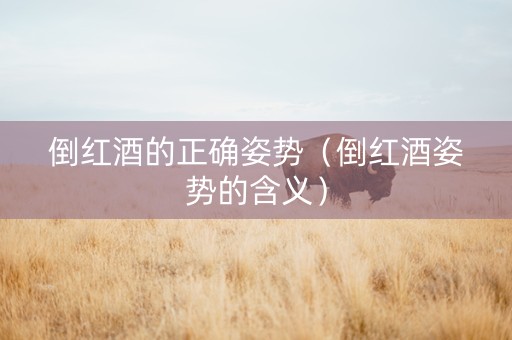 倒红酒的正确姿势（倒红酒姿势的含义）