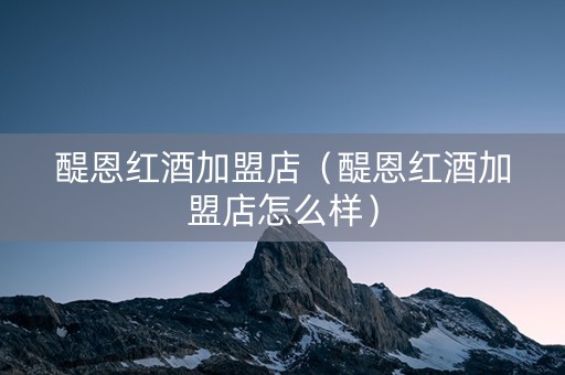 醍恩红酒加盟店（醍恩红酒加盟店怎么样）