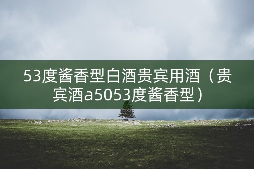 53度酱香型白酒贵宾用酒（贵宾酒a5053度酱香型）