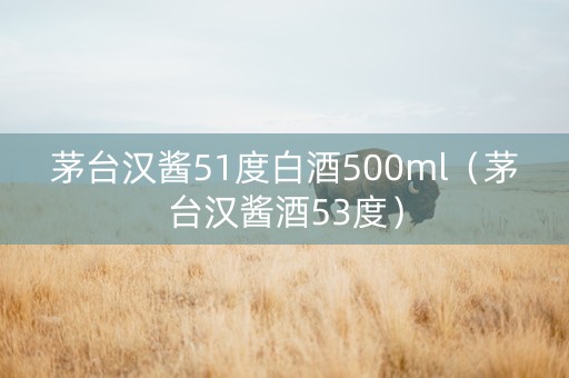 茅台汉酱51度白酒500ml（茅台汉酱酒53度）