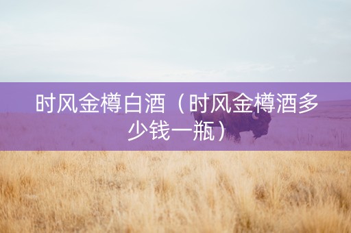 时风金樽白酒（时风金樽酒多少钱一瓶）