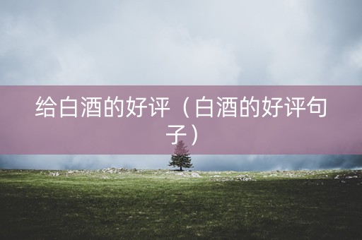 给白酒的好评（白酒的好评句子）