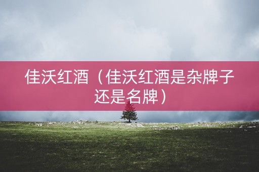 佳沃红酒（佳沃红酒是杂牌子还是名牌）