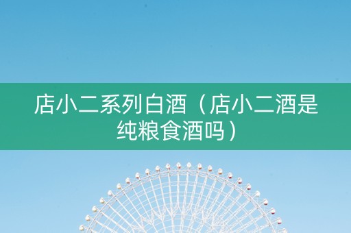 店小二系列白酒（店小二酒是纯粮食酒吗）