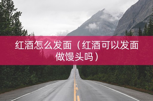 红酒怎么发面（红酒可以发面做馒头吗）