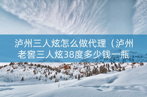 泸州三人炫怎么做代理（泸州老窖三人炫38度多少钱一瓶）