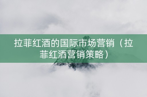 拉菲红酒的国际市场营销（拉菲红酒营销策略）