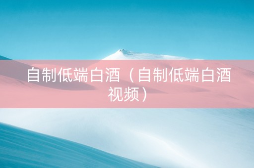 自制低端白酒（自制低端白酒视频）