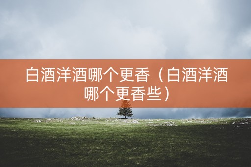 白酒洋酒哪个更香（白酒洋酒哪个更香些）