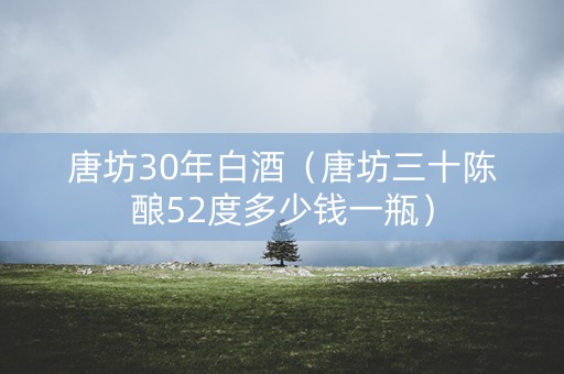 唐坊30年白酒（唐坊三十陈酿52度多少钱一瓶）