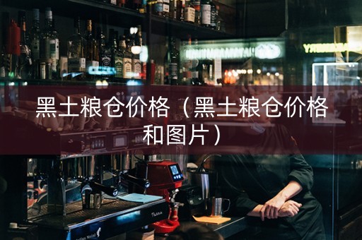 黑土粮仓价格（黑土粮仓价格和图片）