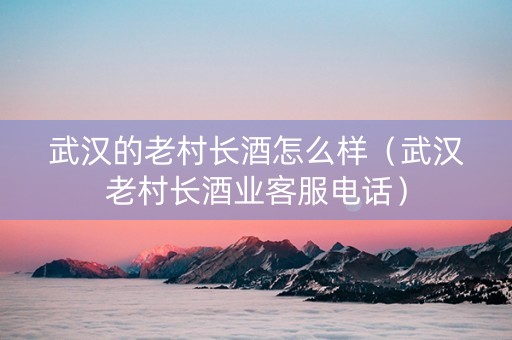 武汉的老村长酒怎么样（武汉老村长酒业客服电话）