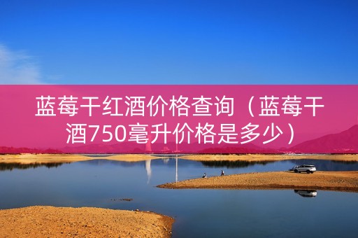 蓝莓干红酒价格查询（蓝莓干酒750毫升价格是多少）