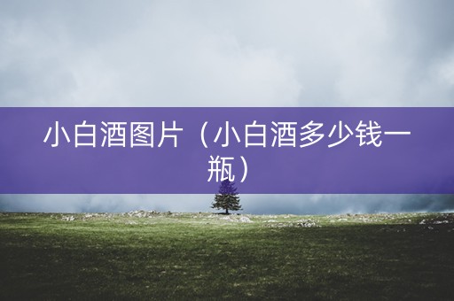 小白酒图片（小白酒多少钱一瓶）