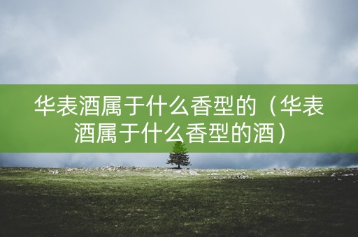 华表酒属于什么香型的（华表酒属于什么香型的酒）