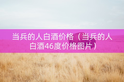 当兵的人白酒价格（当兵的人白酒46度价格图片）