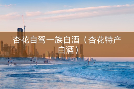 杏花自驾一族白酒（杏花特产白酒）