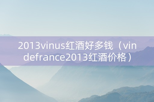 2013vinus红酒好多钱（vindefrance2013红酒价格）