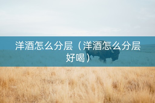 洋酒怎么分层（洋酒怎么分层好喝）