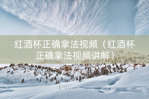 红酒杯正确拿法视频（红酒杯正确拿法视频讲解）