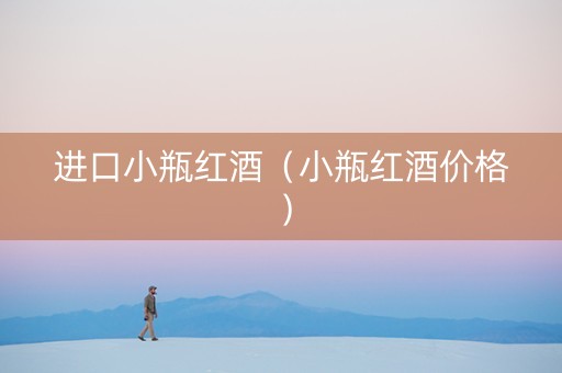 进口小瓶红酒（小瓶红酒价格）