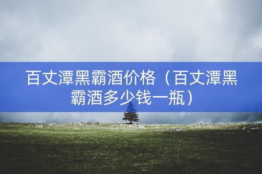 百丈潭黑霸酒价格（百丈潭黑霸酒多少钱一瓶）