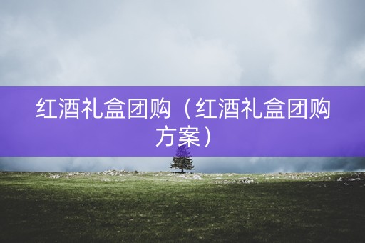 红酒礼盒团购（红酒礼盒团购方案）