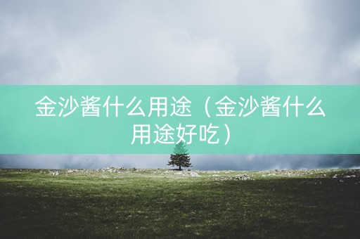 金沙酱什么用途（金沙酱什么用途好吃）