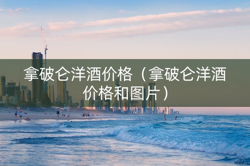 拿破仑洋酒价格（拿破仑洋酒价格和图片）