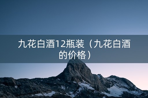 九花白酒12瓶装（九花白酒的价格）