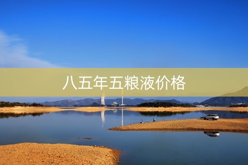 八五年五粮液价格