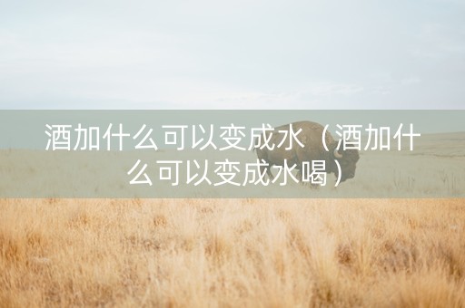 酒加什么可以变成水（酒加什么可以变成水喝）