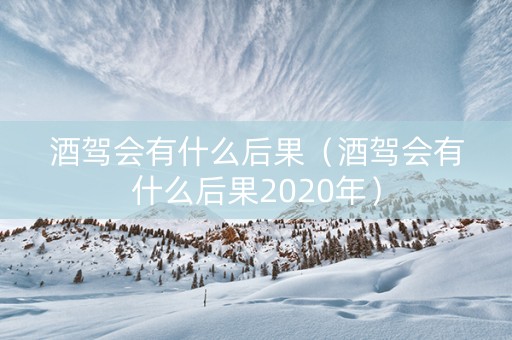 酒驾会有什么后果（酒驾会有什么后果2020年）