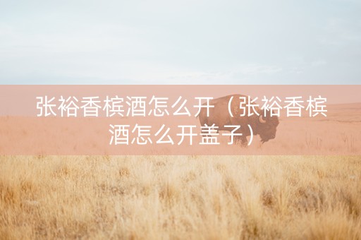 张裕香槟酒怎么开（张裕香槟酒怎么开盖子）