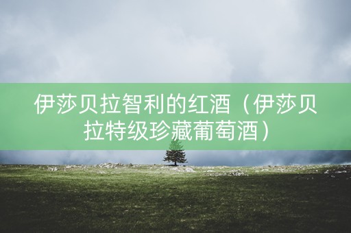 伊莎贝拉智利的红酒（伊莎贝拉特级珍藏葡萄酒）