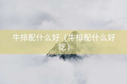 牛排配什么好（牛排配什么好吃）